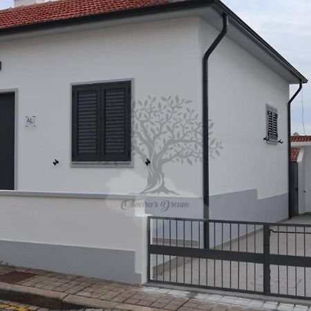 Oliveira'S Dream - Stay Good, Feel Good Maía Exteriör bild